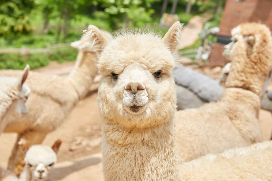 홍천 가볼만한곳 베스트10