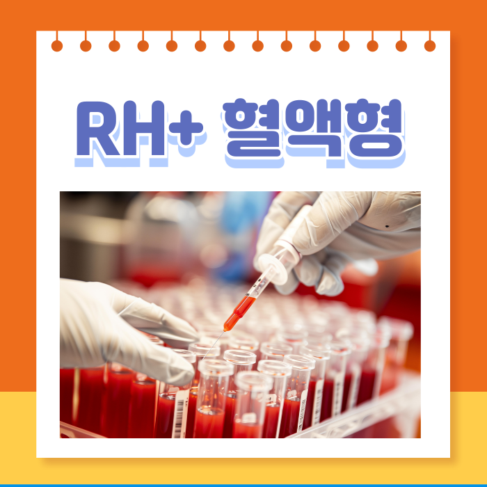 rh+ rh-혈액형