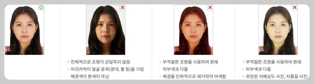 여권사진 규정