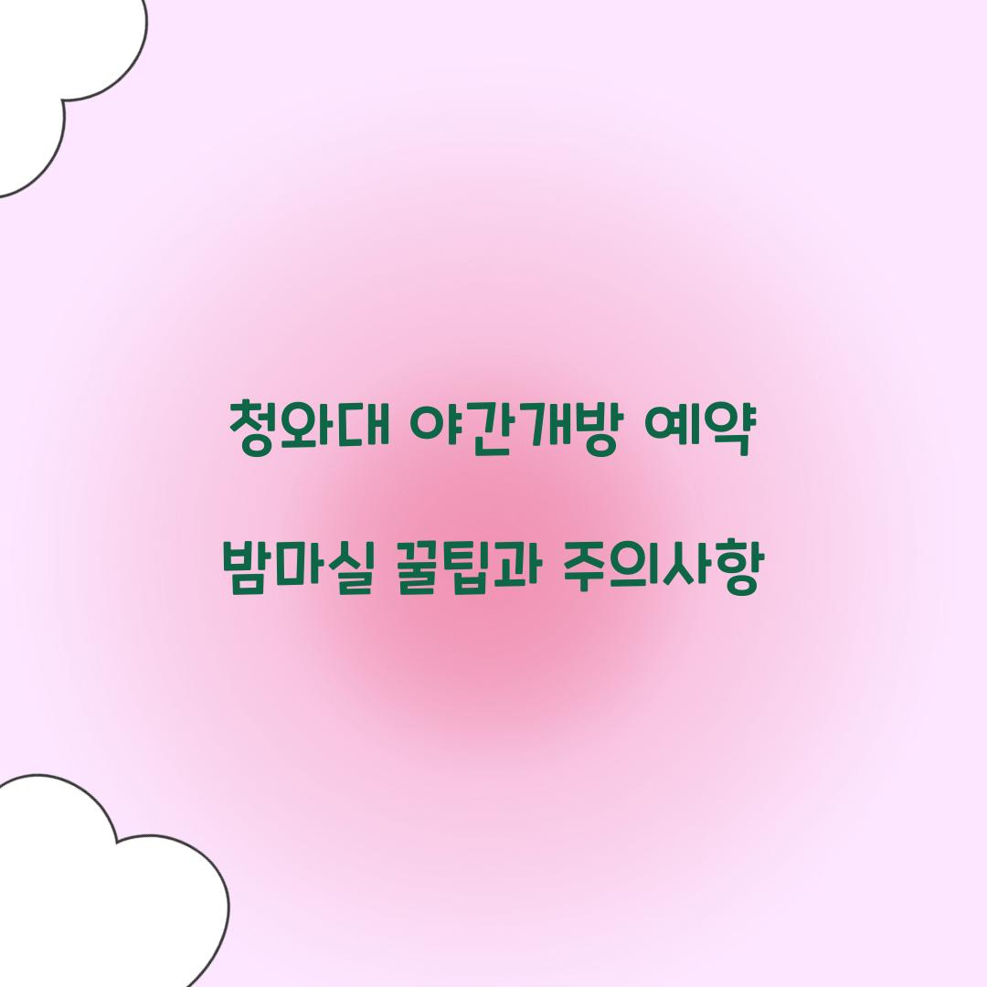 청와대 야간개방 예약 밤마실