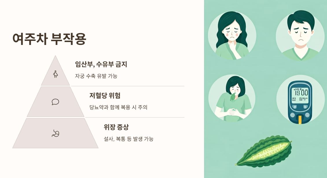여주차 부작용