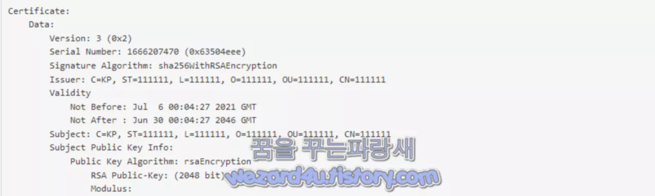 악성코드 인증서 정보
