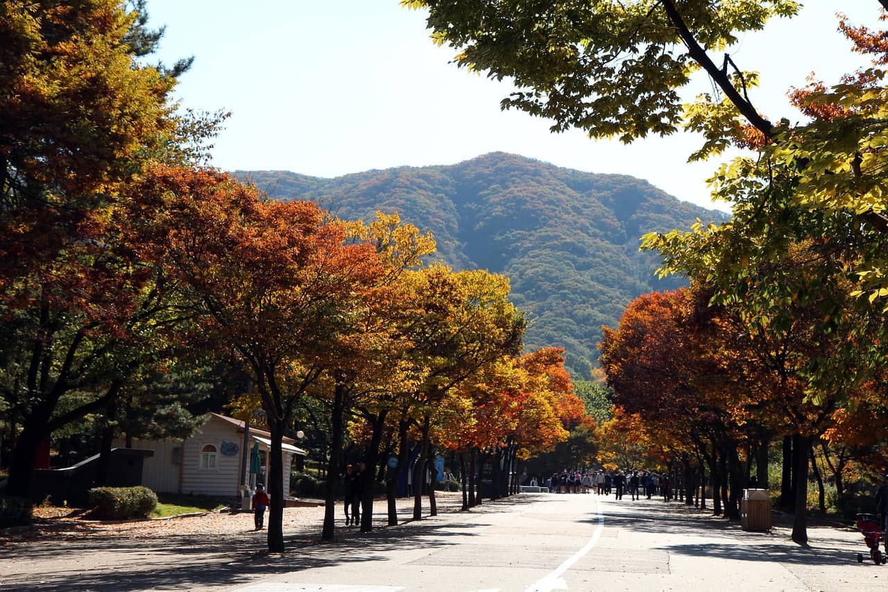 행정부 청사