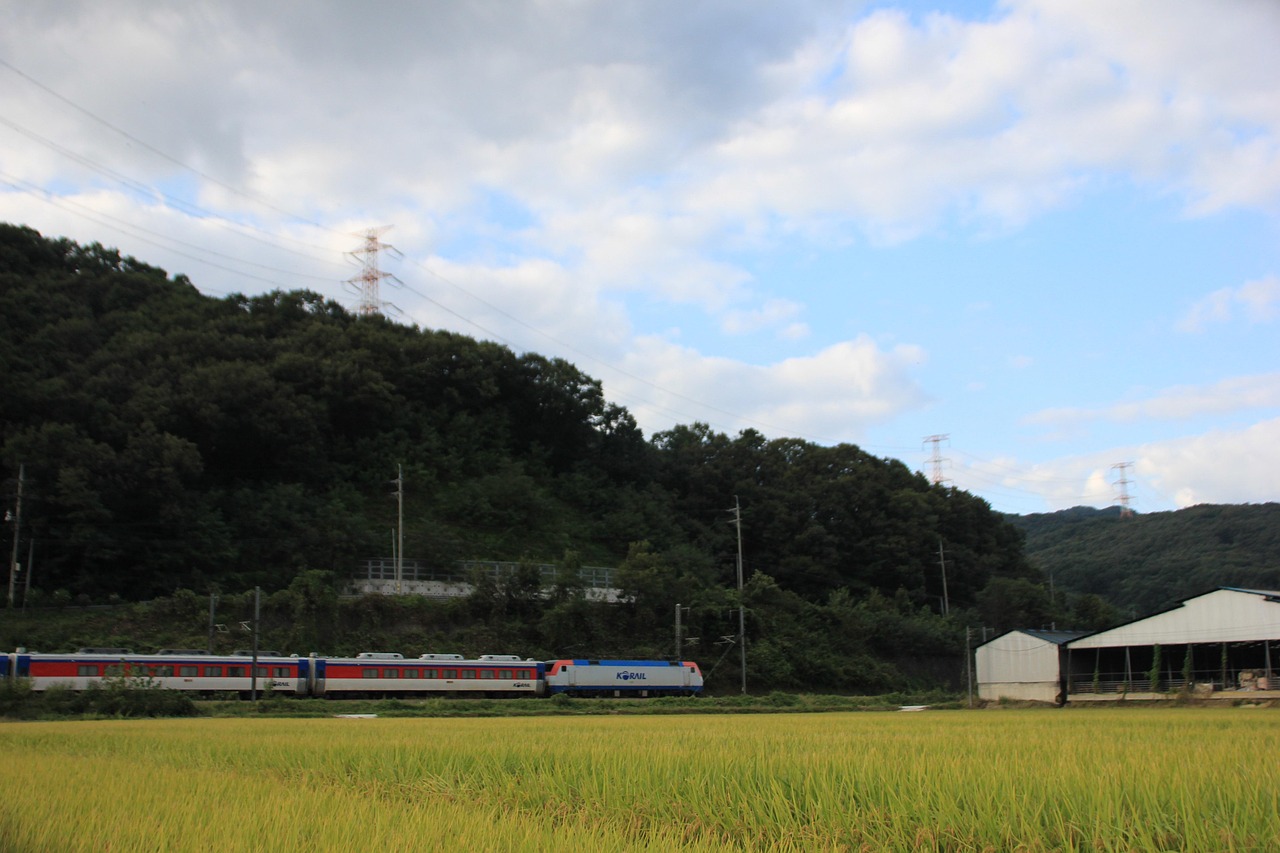 [2025 최신] 6월 1일 무궁화호 장항선 시간표&middot;요금 총정리! 꼭 확인해야 할 변경사항