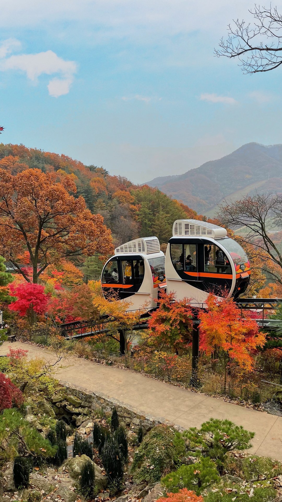 화담숲 단풍 시즌 모노레일과 산책로