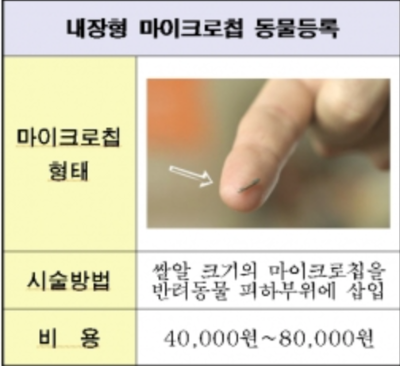 반려견 등록 방법 및 등록지원금 신청방법