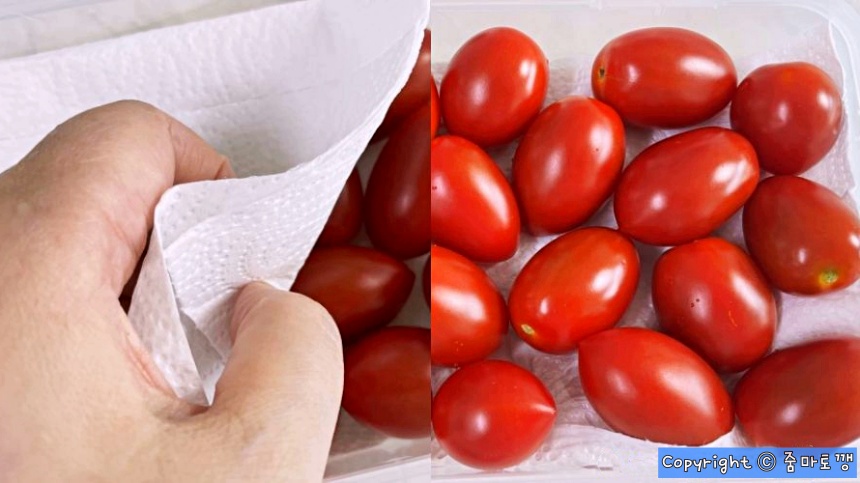 키친타월-깔고-보관