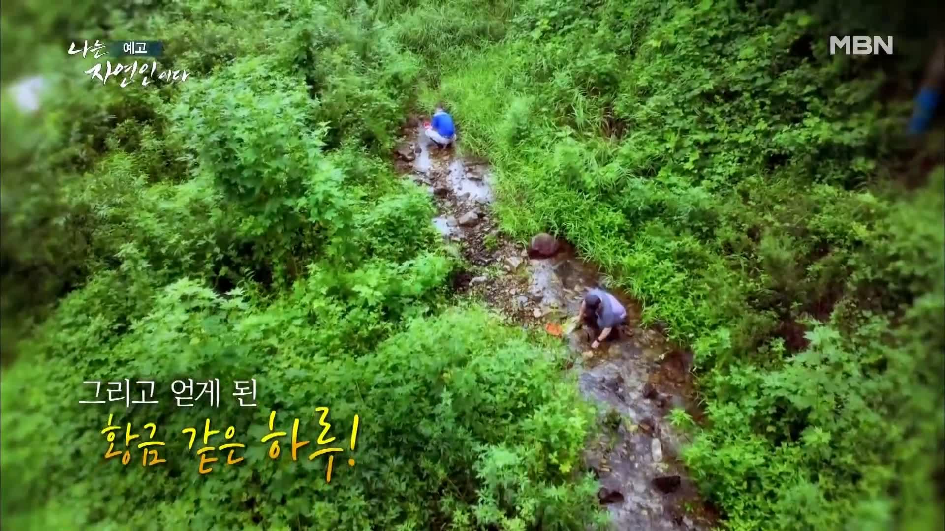 이승윤 윤택 나는 자연인이다 518회 간암 시한부 인생, 경찰 출신 그 후 10년 바보죽 레시피, 식전 녹즙 자연인 강병도 소개 및 출연 다시보기