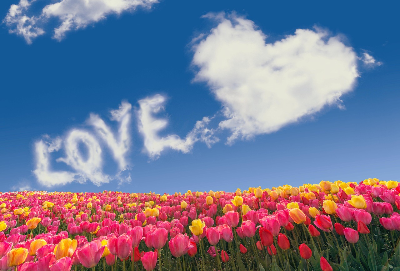 나답게에 대한 이미지