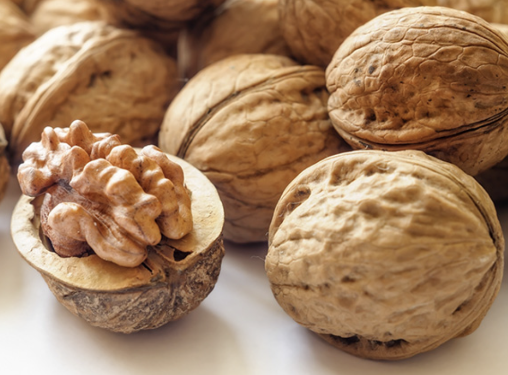 호두 효능