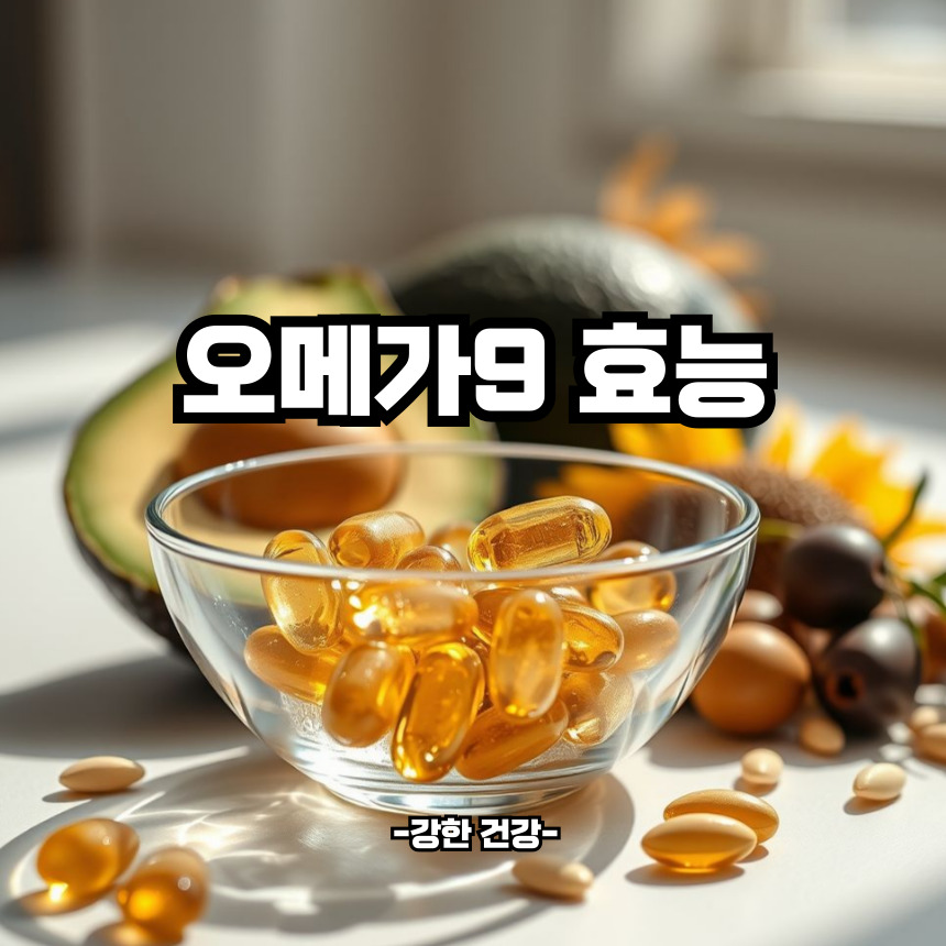 오메가9 효능