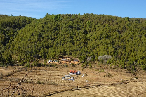 1박 2일 힐링 단식원 체험기 &ndash; 중년을 위한 디톡스 여행의 모든 것