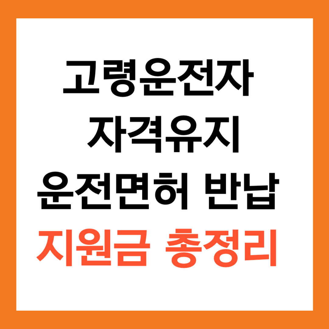 고령운전자 운전면허 반납 지원금 2배 인상, 혜택과 신청 방법 총정리
