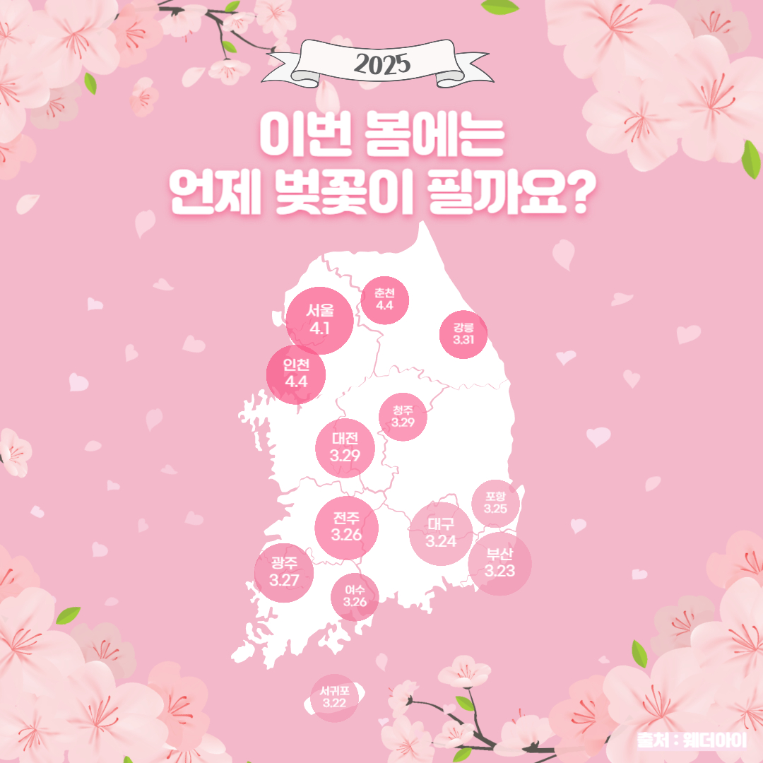 2025년 벚꽃 개화시기