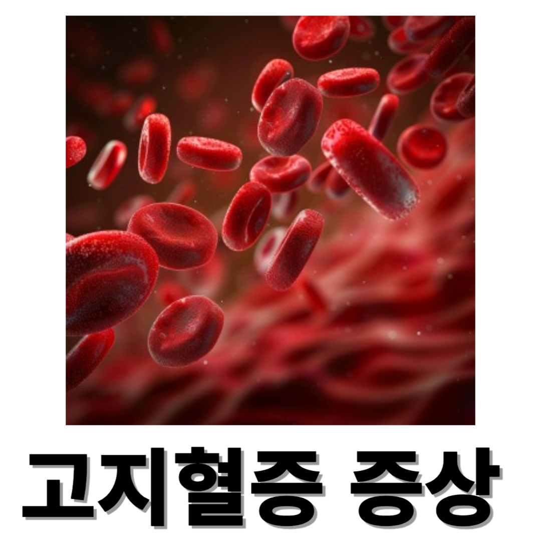 고지혈증과 관련된 사진입니다.