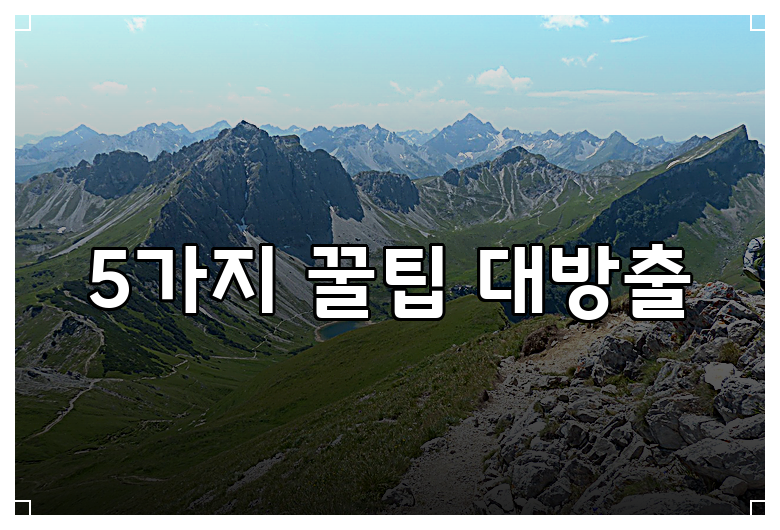 5가지 꿀팁 대방출