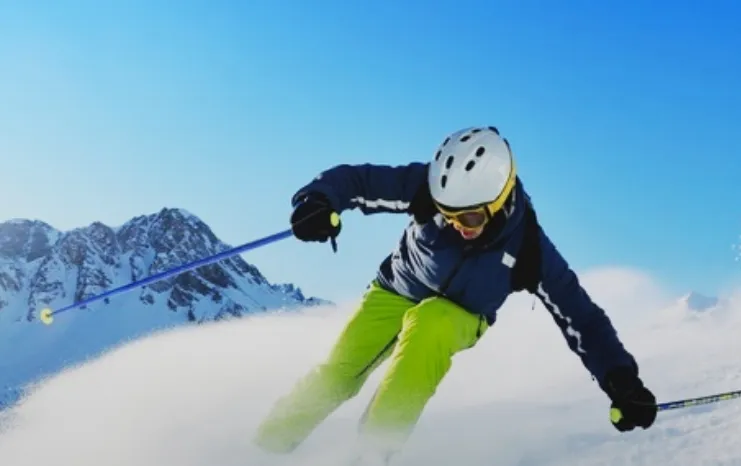 웰리힐리-스노우-파크