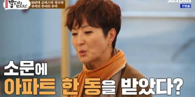 정수라 정주영 아들 루머