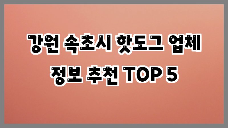 강원 속초시 핫도그