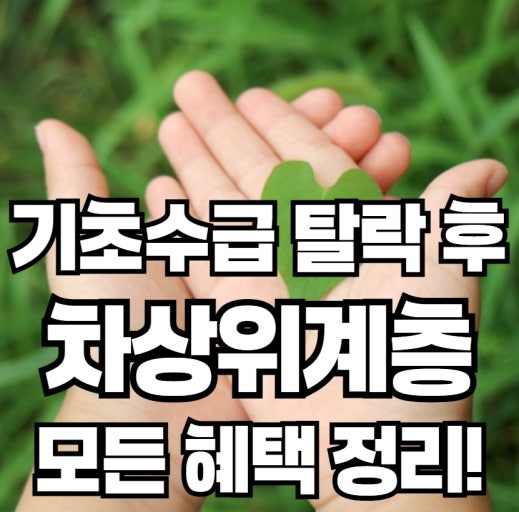 2026년 기초생활수급자·차상위계층 혜택