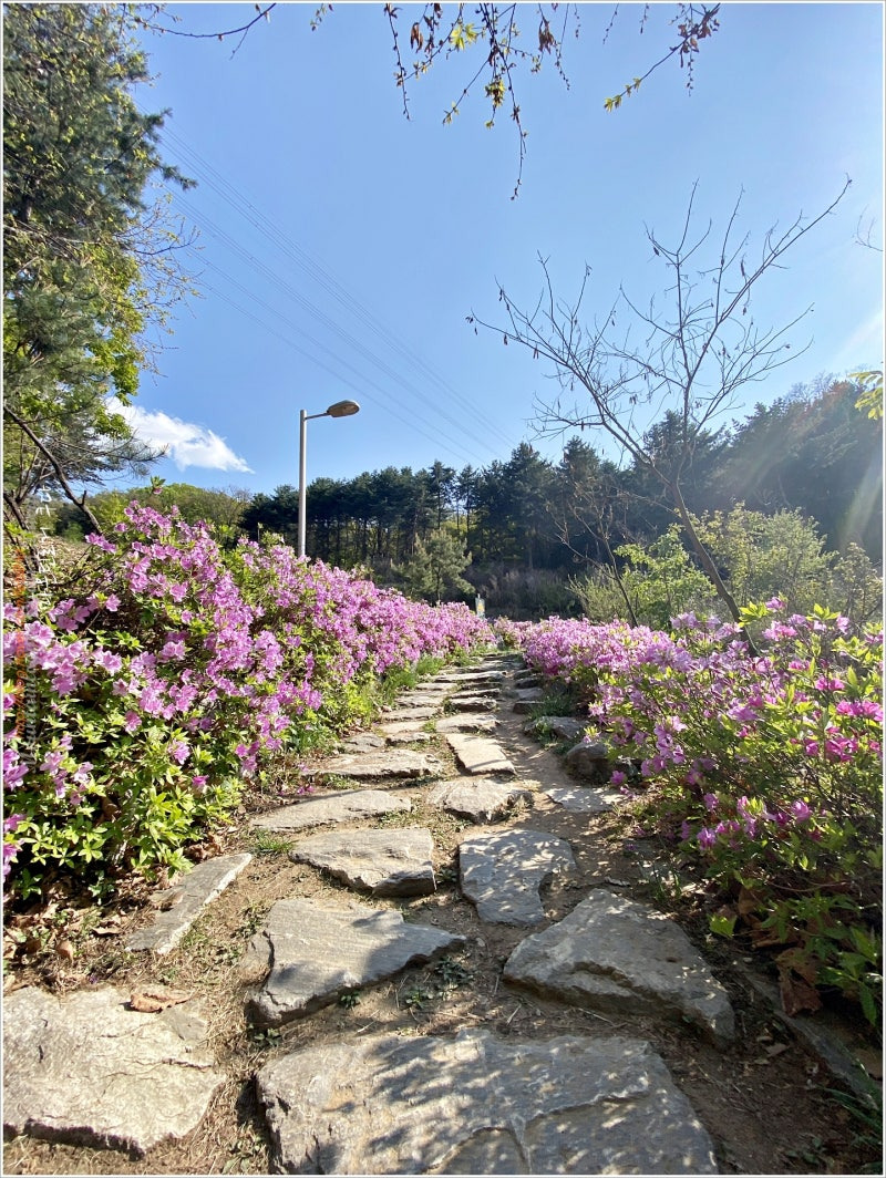  서울둘레길 4코스