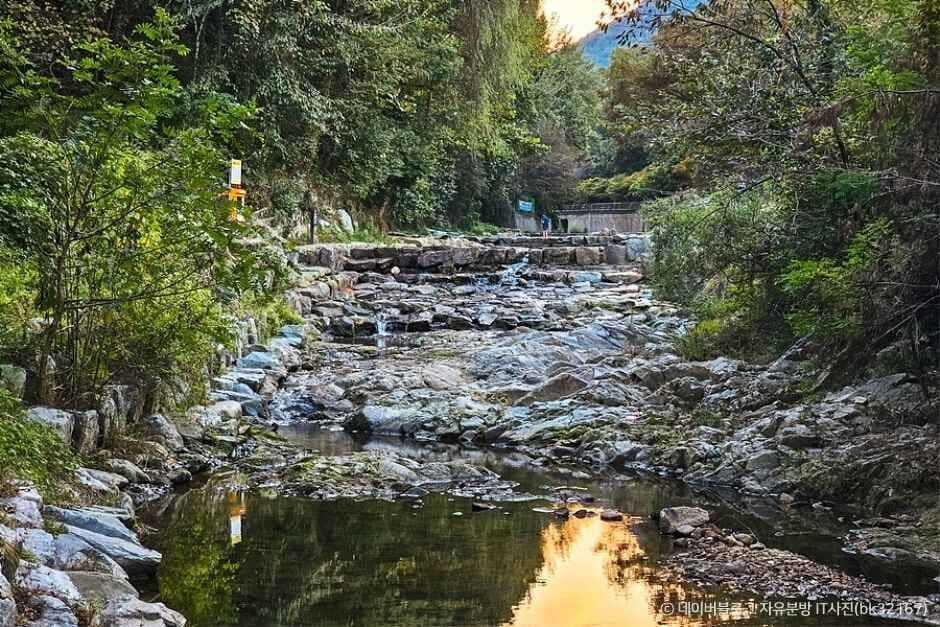 서울 계곡 추천 신림계곡