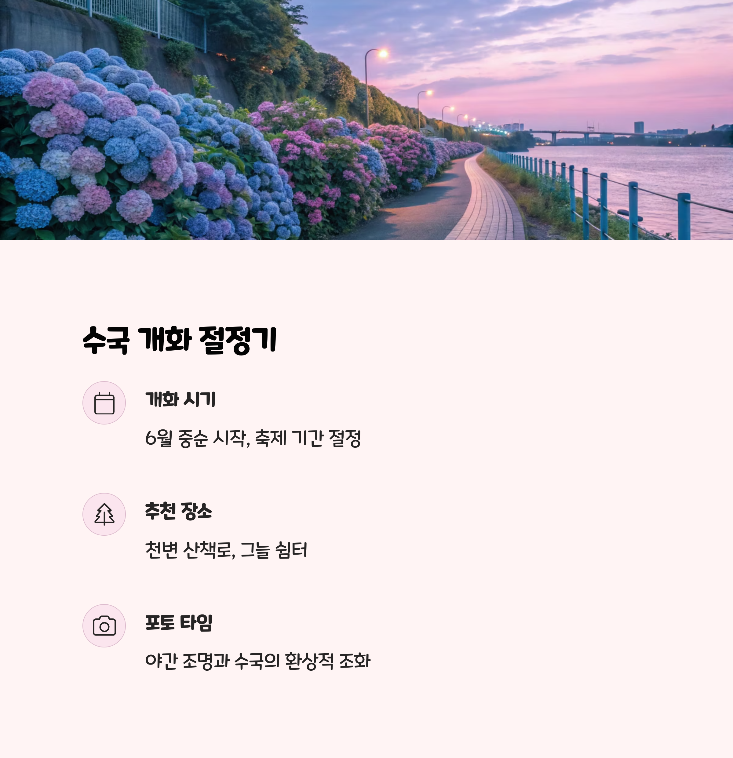 2025년 개화 시기와 현장 풍경