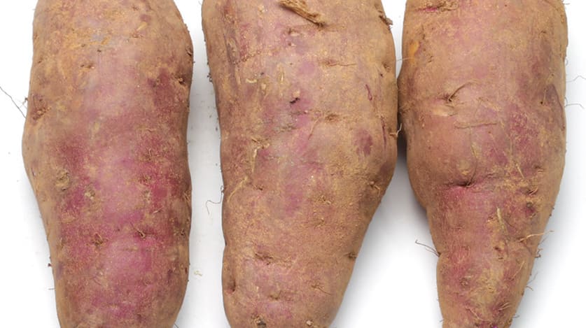 고구마 효능의 고구마2