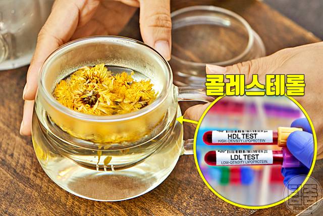 간에 좋은 차 민들레차 효능 콜레스테롤 민들레차부작용