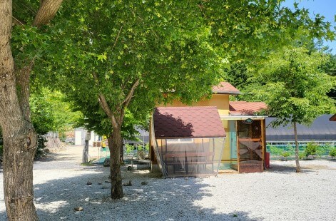 6시 내고향 무주 카페 캠핑 체험 무주눈꽃덕유캠프