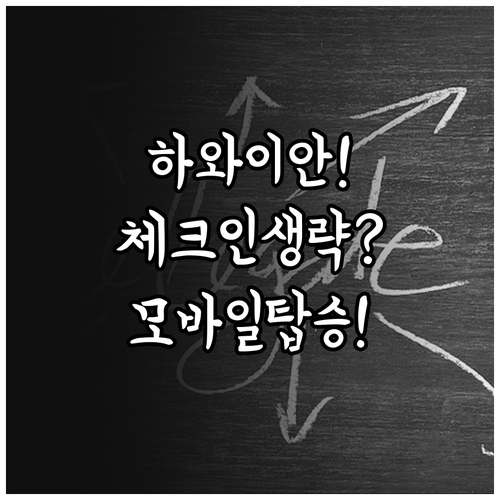 하와이안 항공 공항 체크인 생략하고 ..