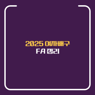 2025 여자배구 FA