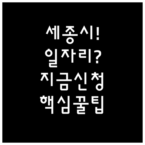 세종시 노인 일자리 신청 자격 및 시..