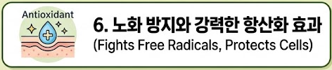 쑥 효능