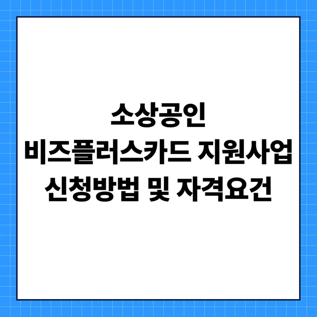 소상공인 비즈플러스카드 지원사업