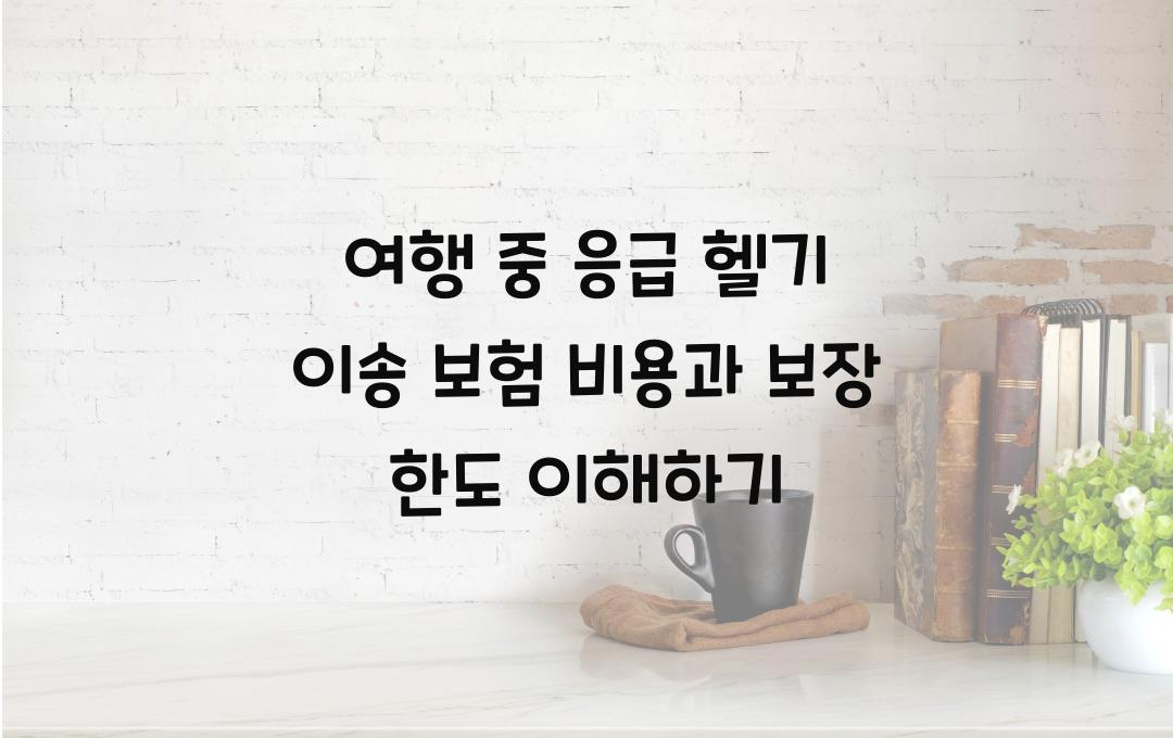 여행 중 응급 헬기 이송 보험 – 예상 비용 & 보장 한도 확인!