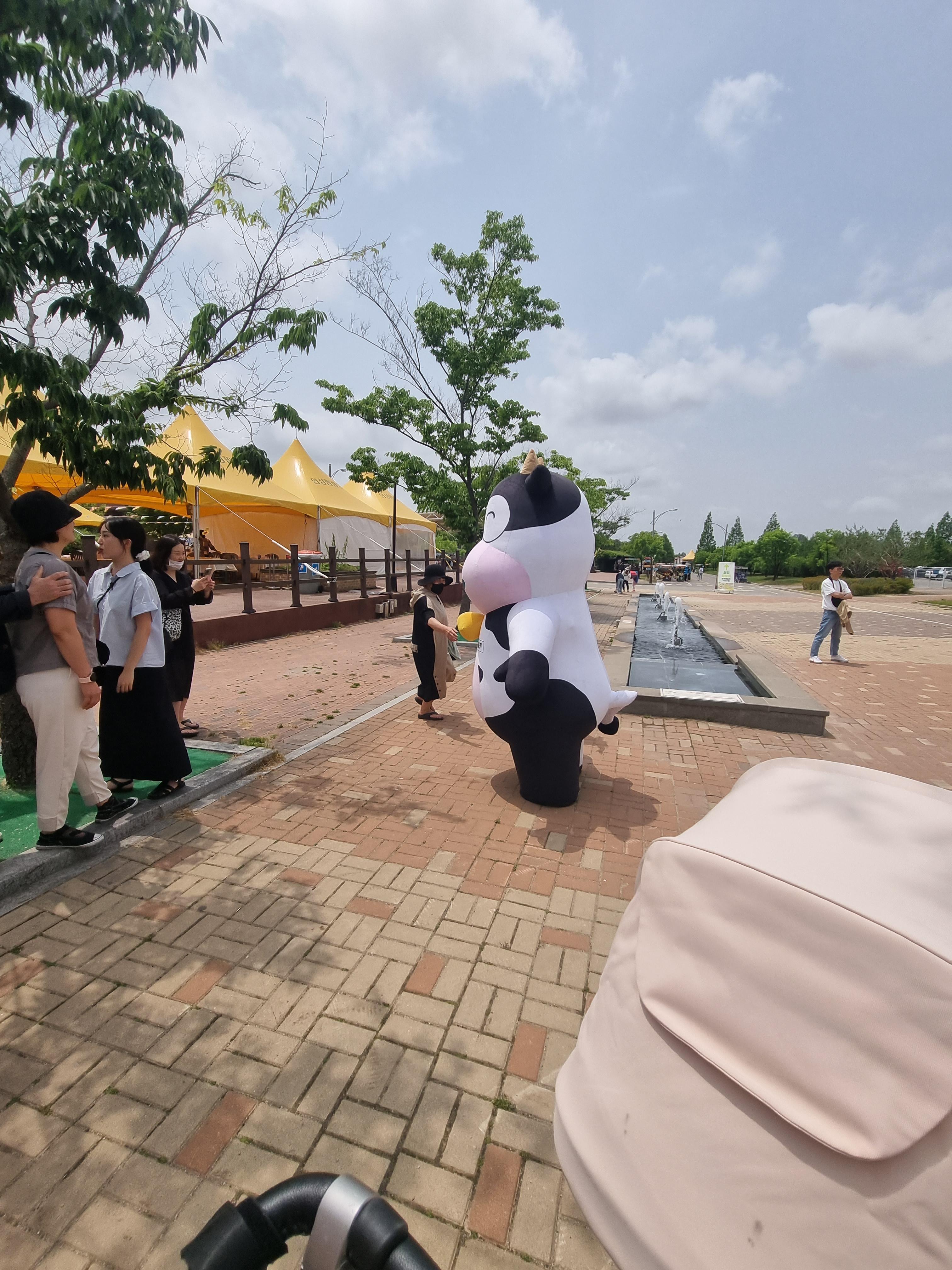 안성팜랜드 전기자동차