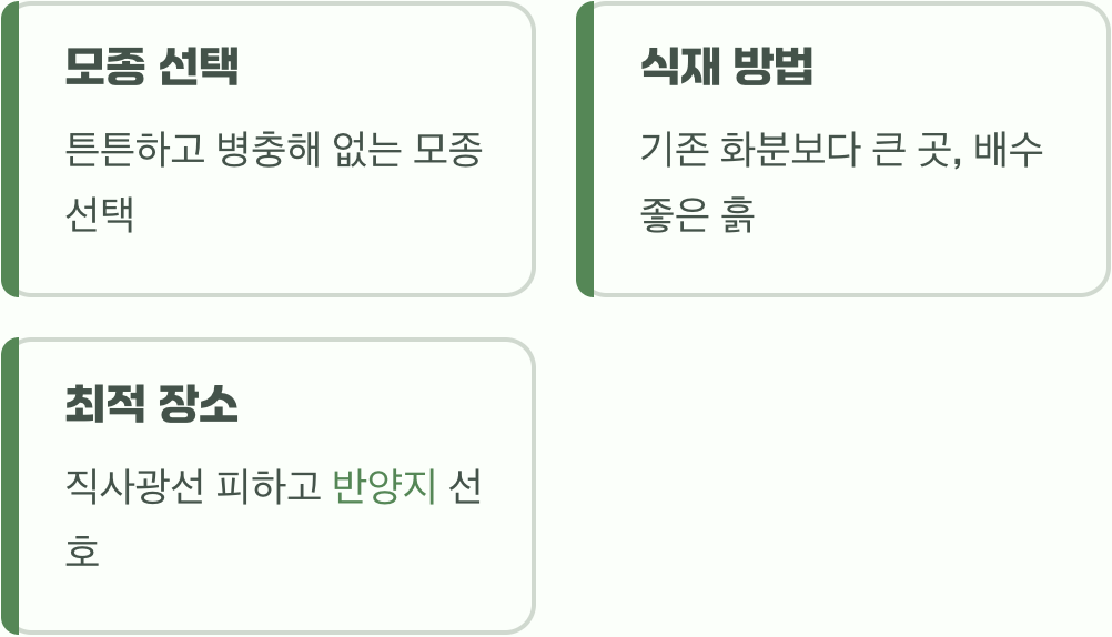 첫 단추, 튼튼한 모종 선택과 올바른 식재