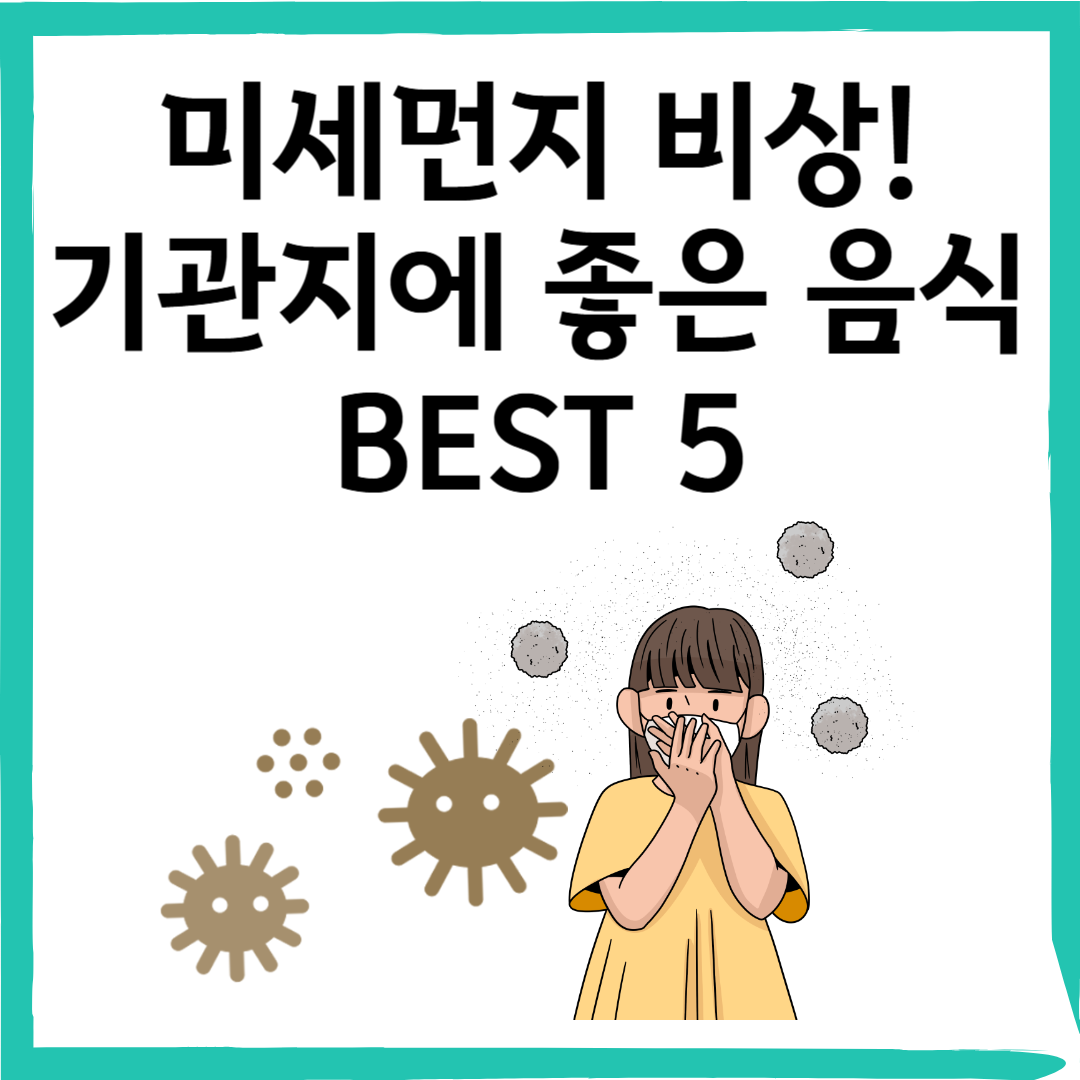 호흡기 건강을 지키는 기관지 보호 음식 TOP 5