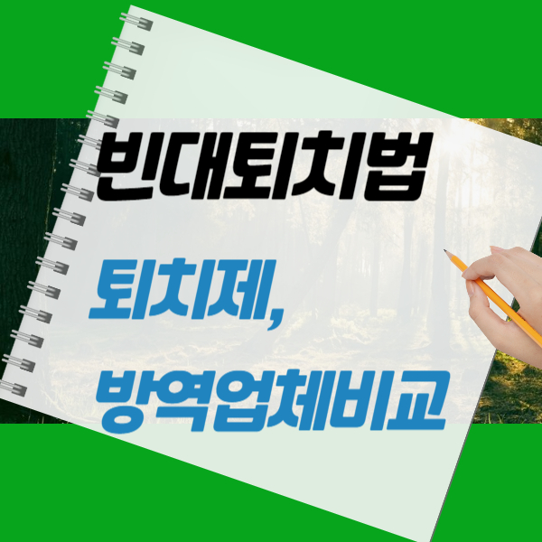 빈대 퇴치법