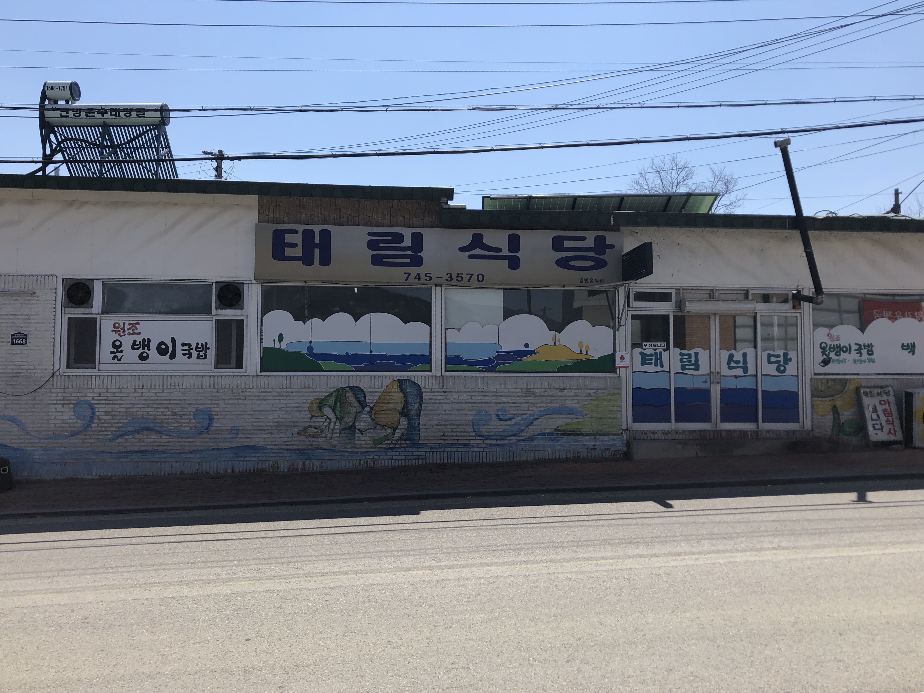 생방송오늘저녁 다슬기 해장국 엄마의 손맛이 그대로 30년 전통 노포 맛집 추천