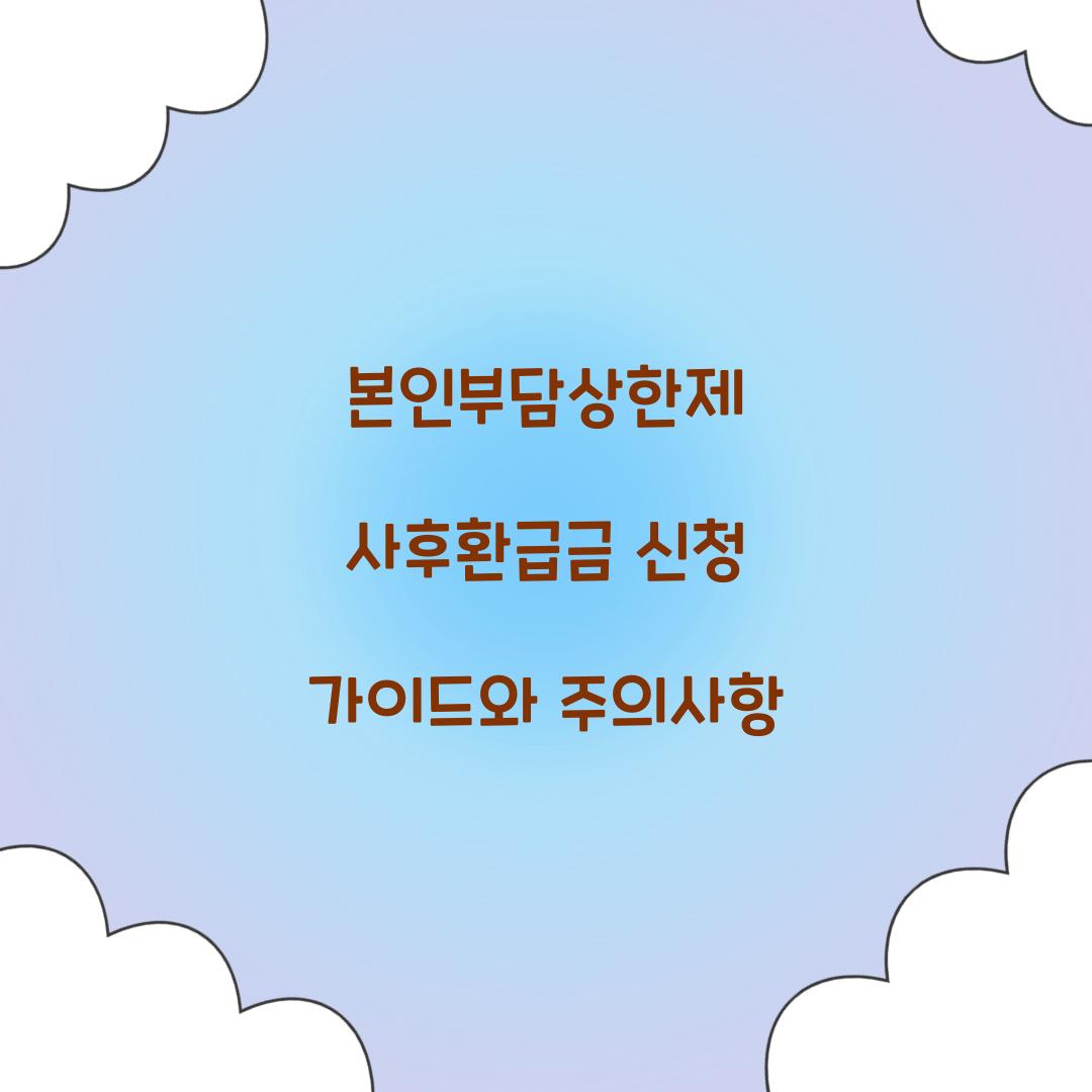 본인부담상한제 사후환급금