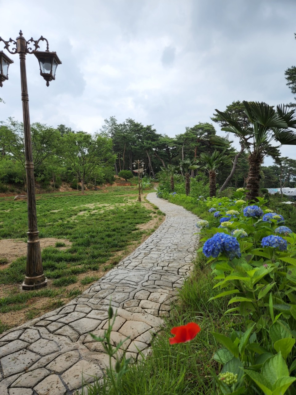 광주 비채카페