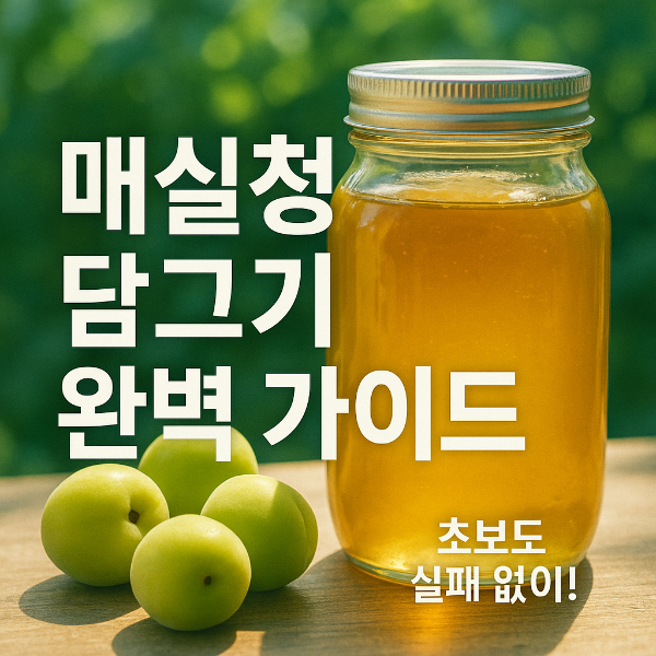 매실청 담그기 썸네일 이미지입니다.