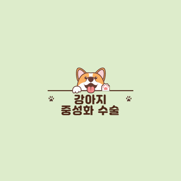 강아지_중성화