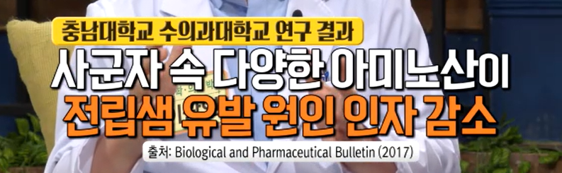 전립선 비대증에 좋은 사군자