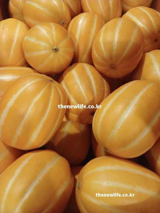 참외 효능의 피로 해소에 도움을 주는 과당과 포도당이 풍부한 참외 실사진