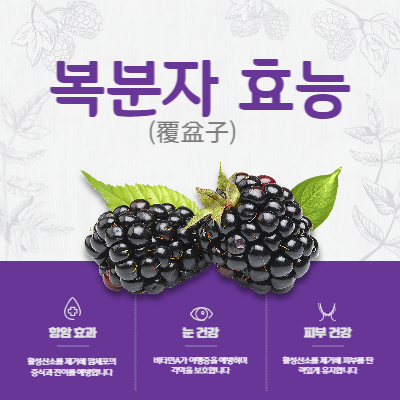 복분자 효능 및 부작용과 술 담그는법