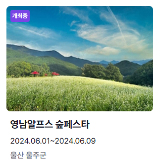 6월 축제 일정표