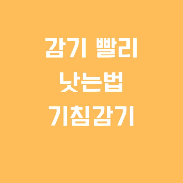 기침감기 빨리 낫는법